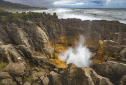 New Zealand 2025 (2 group) (39/84)